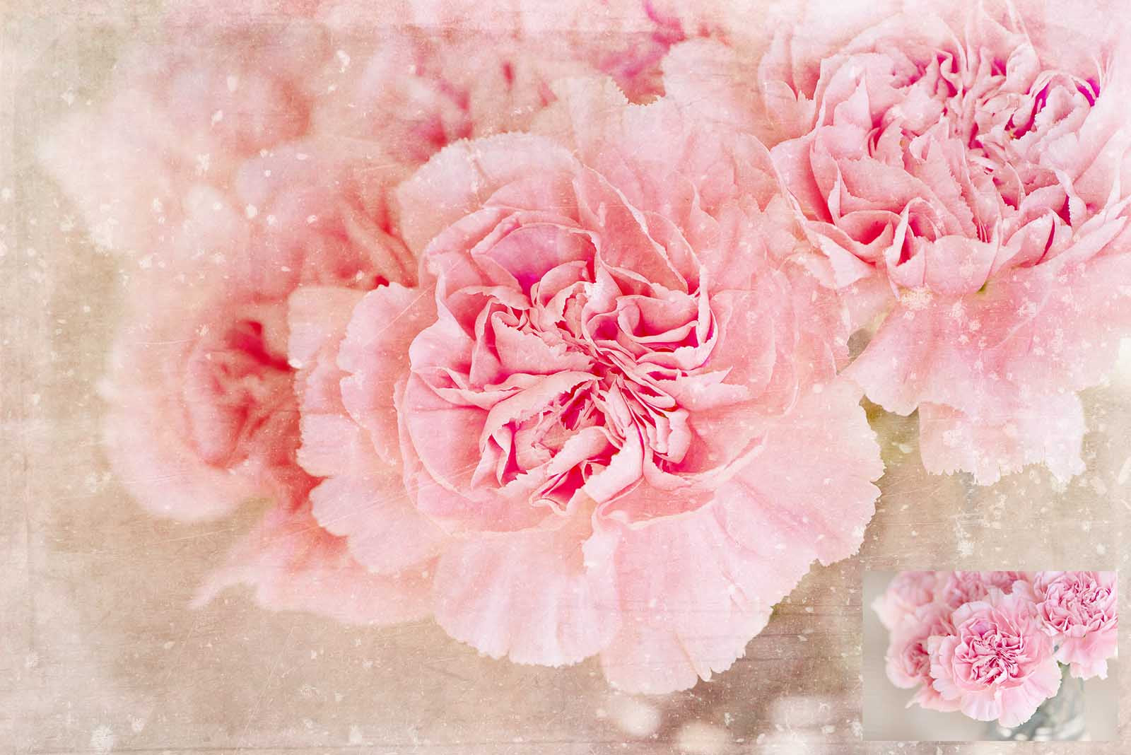 Pretty Pink textures. Fine art texture for photographers, digital editing. Photo Overlays. Antique, Vintage, Grunge, Light, Aged Bundle. Textured printable Canvas, Colour, black and white, Bundle. High resolution, 300dpi Graphic Assets for photography, digital scrapbooking and design. By ATP Textures
